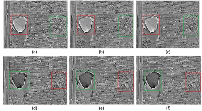 Figure 6 Weight maps of a flower dataset for three level decomposition (red rectangle indicates the focused region, green rectangle indicates the defocused region): (a), (d) are weight maps of left and right focused images at level-1, (b), (e) are weight m