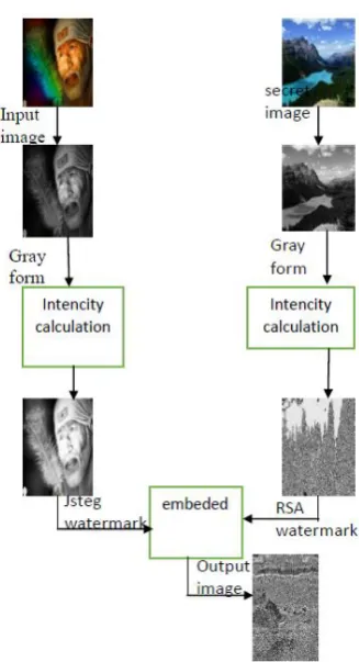 Figure 2.   Describe jsteg & RSA process 