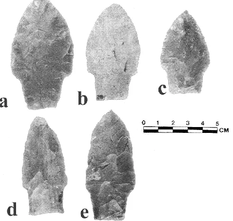 Figure 4-3: Genesee-like Points on Subgreywacke from Davidson 