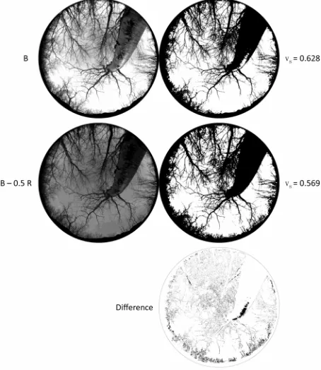 Figure 1mountain birch forest. A spectrophotometer (Analytical Spec- 