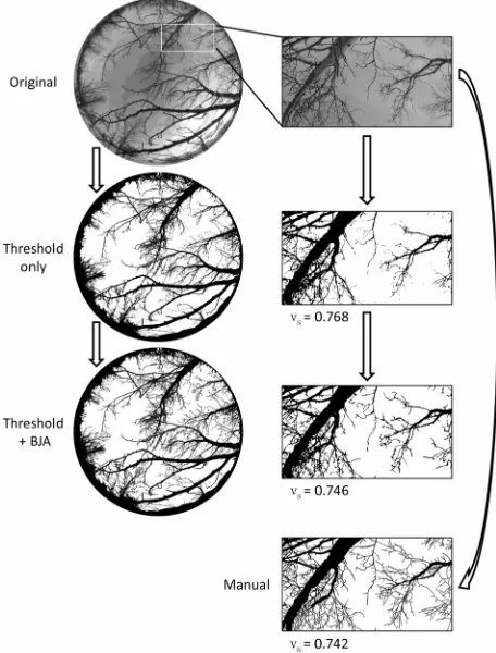 Figure 3. Schematic illustration of the branch-joining algorithm. For each isolated blob (e.g
