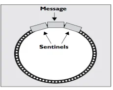 Figure 2.11: A recombinant plasmid with two DNA fragments as sentinels protecting the en-coded message in between, [68]