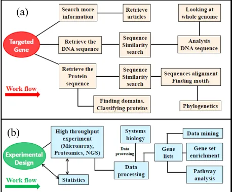Figure 1. Hypothesis-generating bioinformatics (a) and experi- mental (b) workflow.  