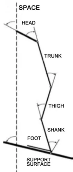 Figure 1. Illustration of the human body as a stack of hierarchically structured and su-perimposed segments