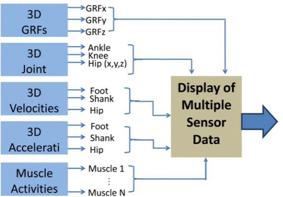 Figure 3. Block diagram of the experimental data acquisition of physiologic/ biomechan-ics data (according to Figure 2)