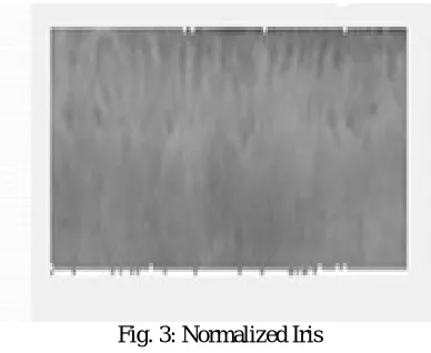 Fig. 4: Irido Chart  