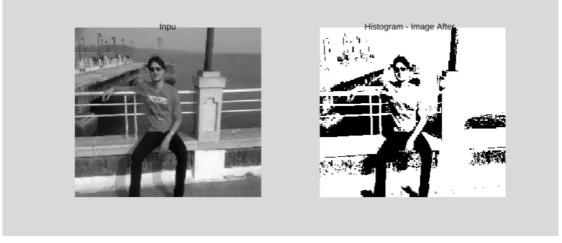 Fig. 2 Result of Histogram thresholding 