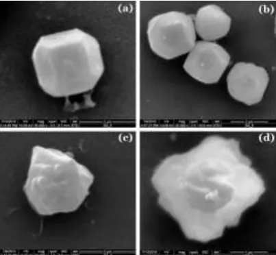 Figure 2. The extent of deformation of BmNPV polyhedra caused by treatment of differently functionalized silica nanoparticles