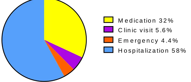 Figure 1-4: Exacerbation cost breakdown. This pie graph shows the costs attributed to treating COPD exacerbations