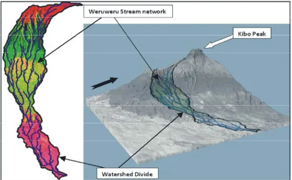 Fig 1: Delineated watershed and stream network of Weruweru River