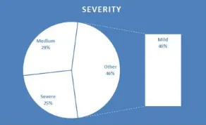 Figure 6. Description of the study population by the severity of the injury 
