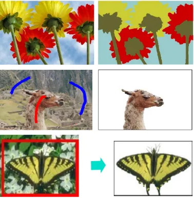 Figure 1.3: Examples of segmentation based on global optimization. Top row: example of