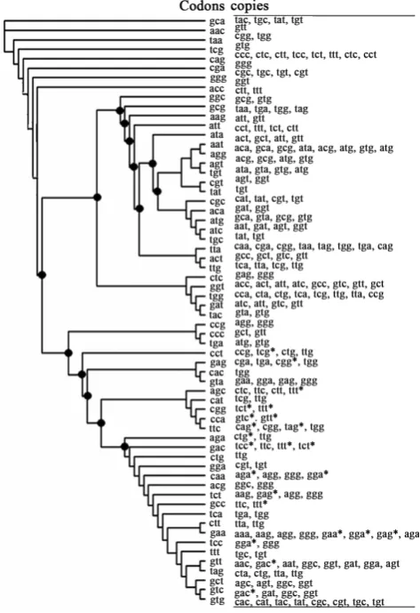 Figure 3, most codons in the antiparallel phylogenetic tree with s = 45 had no  