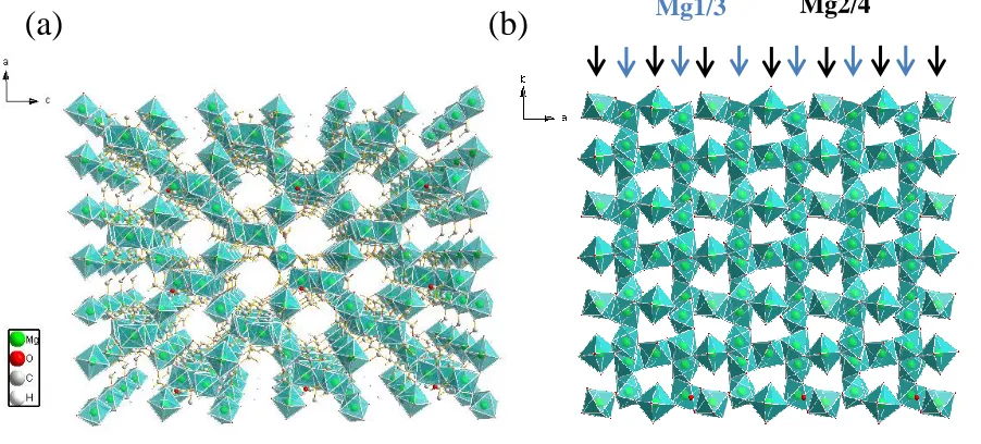 Figure 2.1 - Mg formate 3D structure viewed down crystallographic b axis (a) and 2D structure 