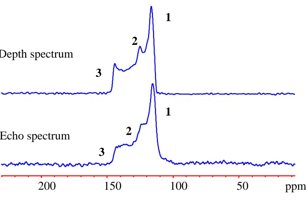 Figure 2.11 - Comparison between 13C depth and echo spectrum of 13CO2 adsorbed in α-Mg 