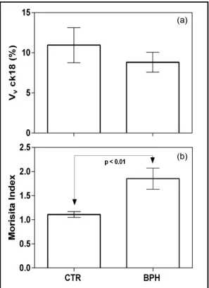 Figure 4. Diagram for space series of local Vterisks indicate the segment of space series were the differences between CTR and BPH are significant (p < 0.05).µm) of the correspondent strips of CTR (blue line) and BPH (green line) groups