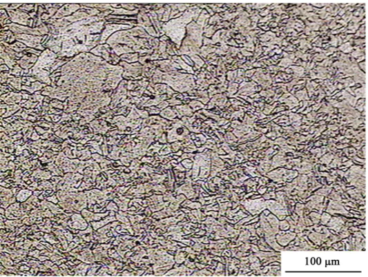 Figure 5. Micrograph by optical microscopy of as received nickel alloy 600 (varying sizes of grains and presence of precipitation)