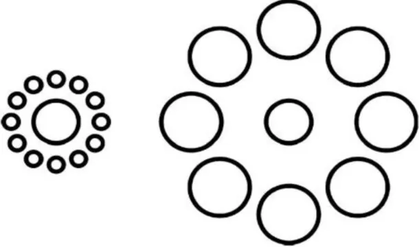 Figure 1. Two physically identical central circles in the Ebbinghaus illusion appear to be 