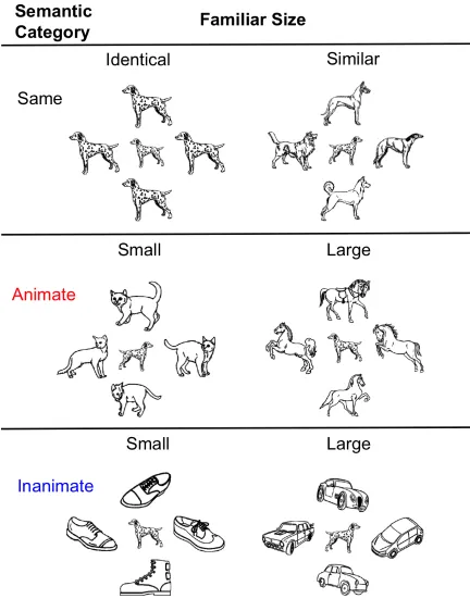 Figure 3. Annuli categories divided by familiar size and semantic category relative to the central image