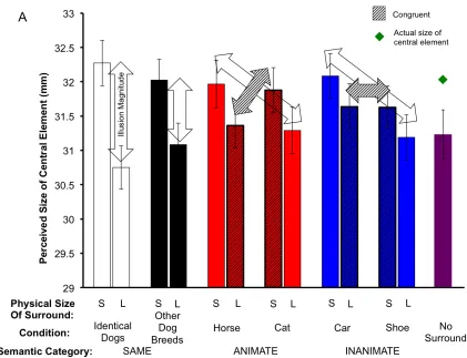 Figure 5. (A) Average perceived size of the central image as a function of the physical 