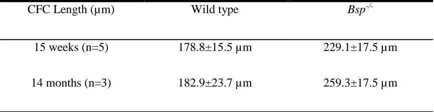 Table 1. CFC lengths of 15 week and 14 month old wild type and Bsp-/- QCT 