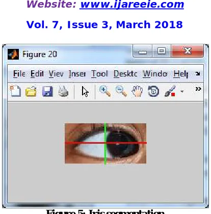Figure 5: Iris segmentation 