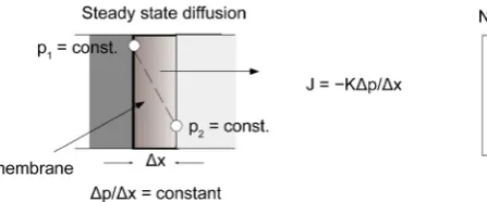 Figure 1. Steady state and unsteady state diffusion bonding. 