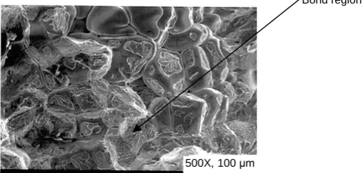 Figure 6. SEM fractograph of surface (failed under tension) of Ti-Ti bonded (at 1073 K for 2 h)