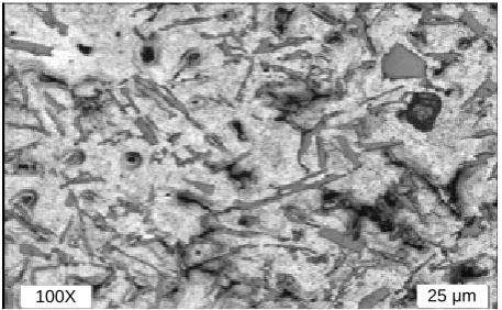 Figure 9. Microstructure of commercially pure Cu plate. 