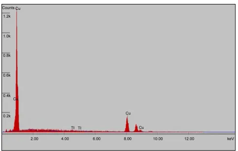 Figure 12. EDS photograph of diffusion bonded Ti-Ti and (at 1073 K for 2 hours).  