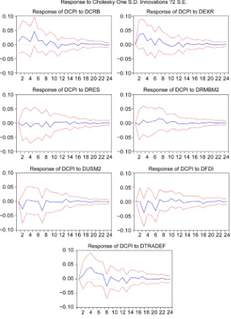 Figure 2. CPI impulse response function diagram. 