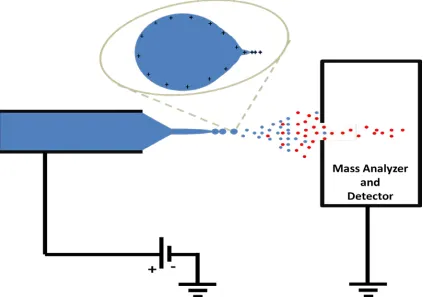 Figure 1.1 Schematic of an ESI ion source. Taylor cones are formed at the inlet capillary (left) and in evaporating droplets (inset), as charge accumulates at the surface