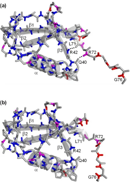 Figure 4 exemplifies three of the 
