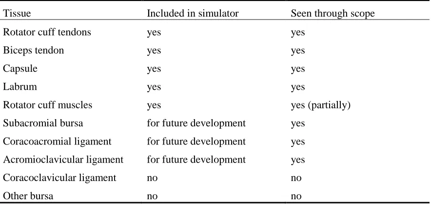 Table 3.3: Tissues in the shoulder. 