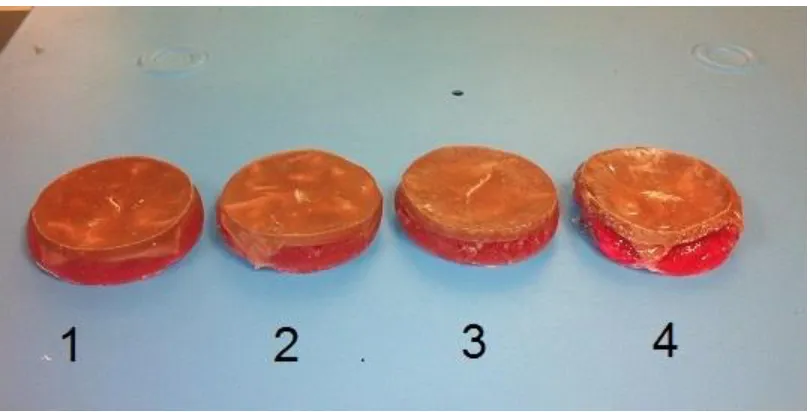 Figure 3.14: Silicone skin with fat layer curing. 