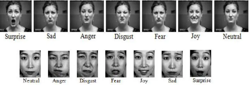 Fig 7. Sample images of each prototypic expressions. 