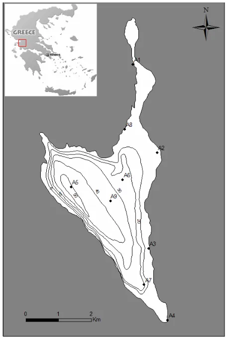 Figure 1. Map of the study area (Lake Amvrakia), location of the sampling stations (depth in meters)