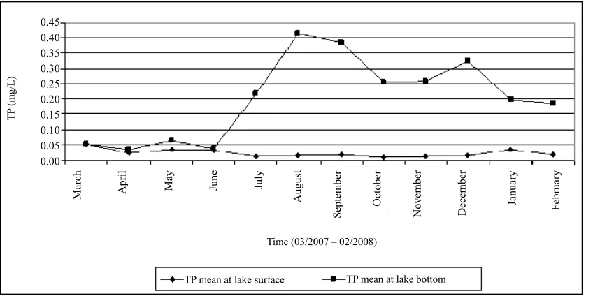 Figure 5. Mean monthly variation of TP at surface and bottom waters in Lake Amvrakia (2007-2008)