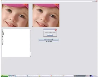 Figure 5.1: Watermark Image Extracted 
