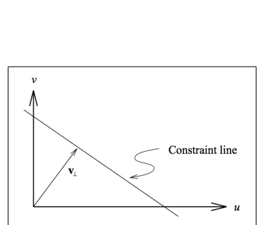 Figure 2.1: Motion ﬂow Constraint Equation (from [7]).