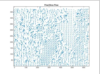 Figure 2.3: The ﬁnal optical ﬂow ﬁeld for the 10th frame of the rocking horse image sequence.