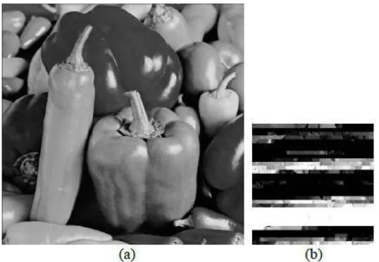 Fig. 4 Encryption of JPEG bitstream: (a) image decoded from the plaintext JPEG bitstream; (b) image decoded from  the encrypted bitstream 