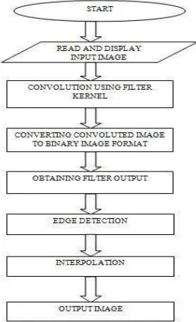 Fig 5 : Input Image 