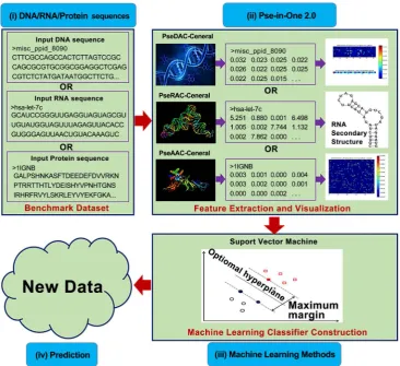 Figure 1. The flowchart of Pse-in-One 2.0. The first two steps are imple-mented in Pse-in-One 2.0 webserver