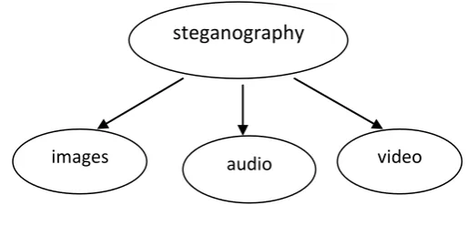 Figure below shows the three  main categories of file formats that are used in current steganography 