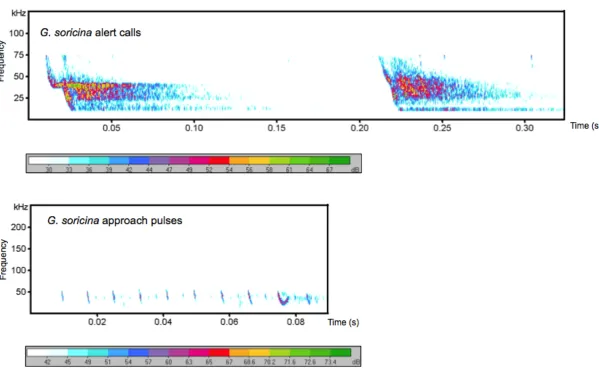 Figure 6. G. soricina call spectrograms (Part II). Spectrograms of the different call types of G