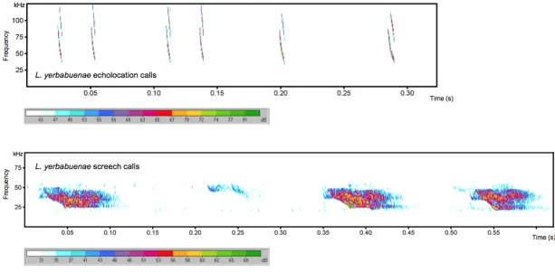 Figure 7. L. yerbabuenae call spectrograms. Spectrograms of the different call types of L