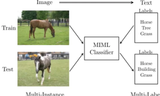 Fig. 1: Multi-instance multi-label learning for image tagging.