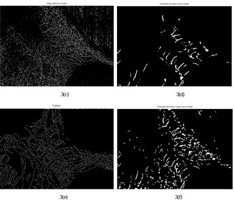Fig. 3     Result of Edge detection and corresponding image for template matching.  3(a), 3(b) represents Prewitt edge detection and the template for matching with landmark point templates