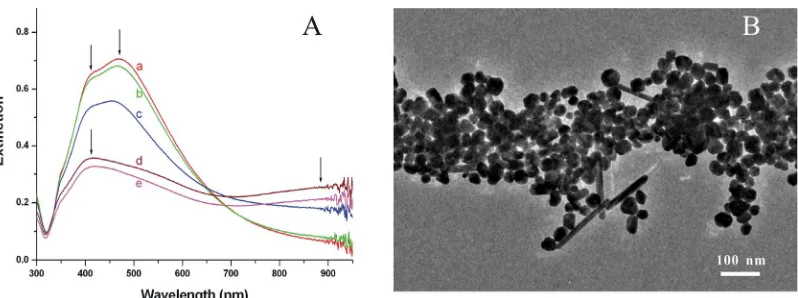 Figure 2. (A) UV-Vis-NIR spectra of an original citrate-reduced Ag-NPs solution (a, Ag-blank), and Ag-NPs aggregated solu-tions after one cycle (b, Ag-1), two cycles (c, Ag-2), three cycles (d, Ag-3), and four cycles (e, Ag-4) of centrifugation, removing t